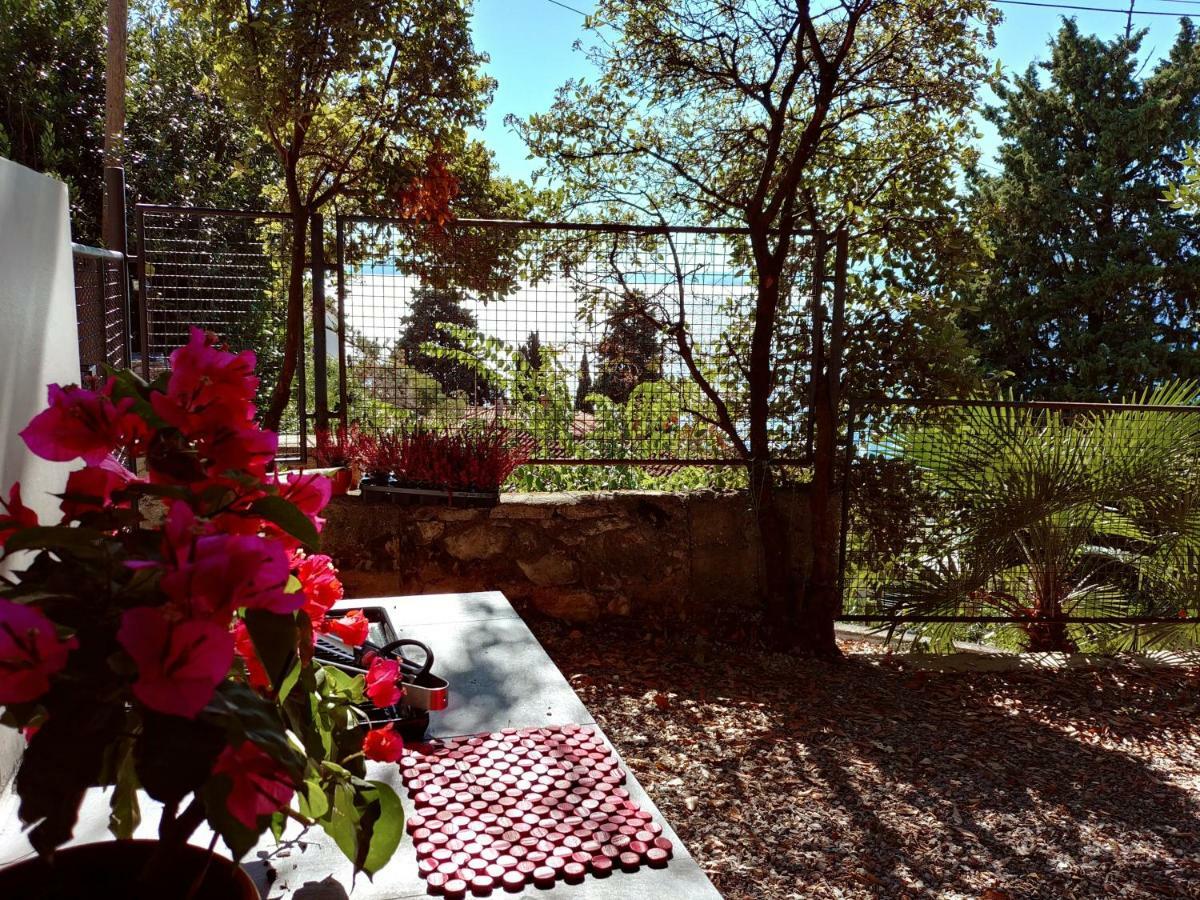 Apartment Sofia غييكا المظهر الخارجي الصورة